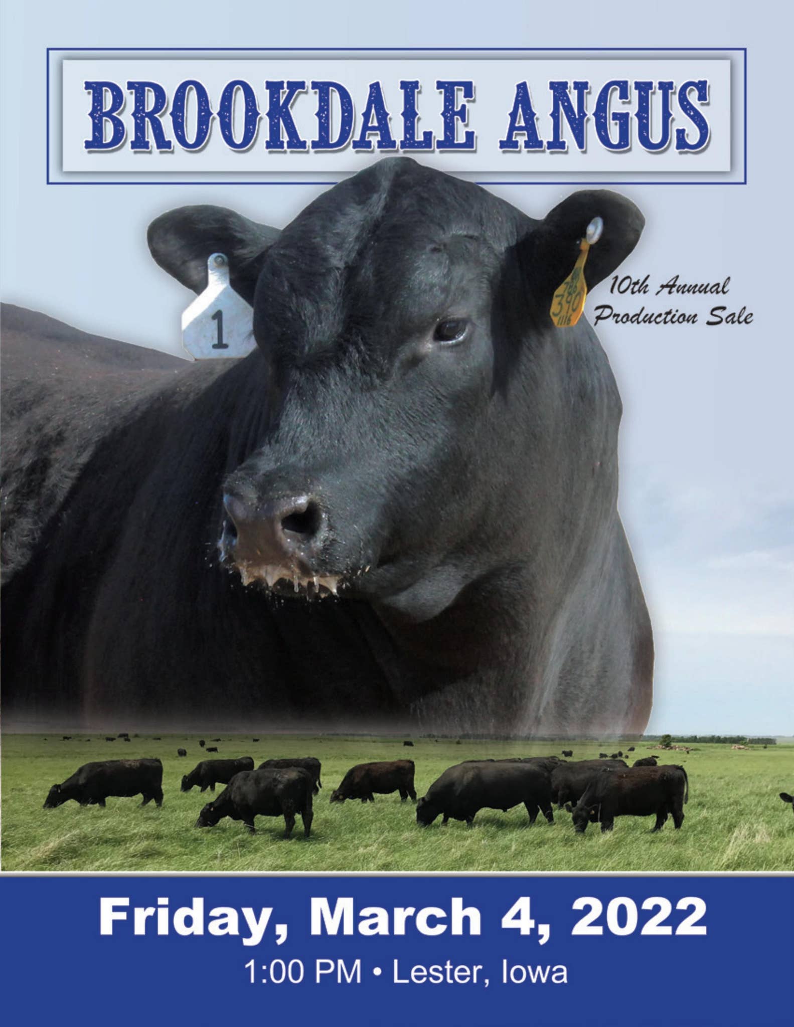 Brookdale Angus 2022 Catalog by RPI Promotions Issuu