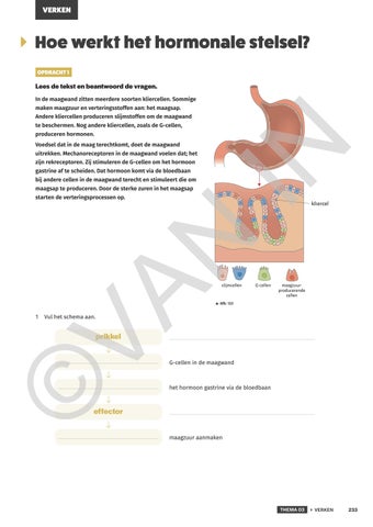 Page 235