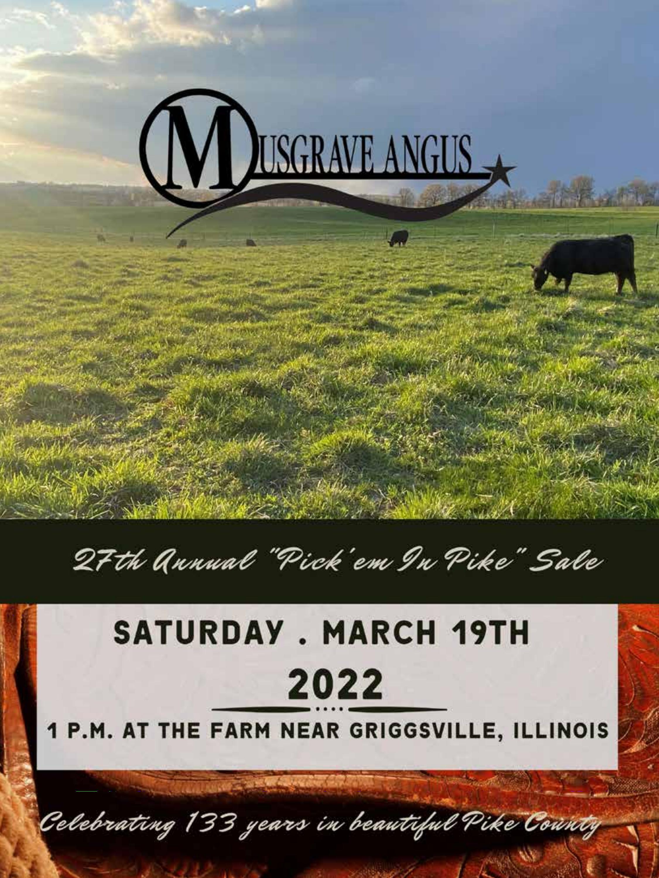 2022 Musgrave Angus Sale Catalog by Ranch House Designs Issuu