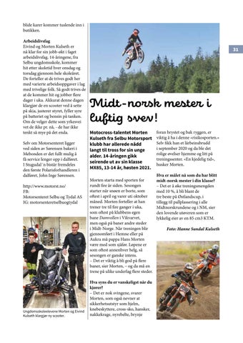 Page 31
