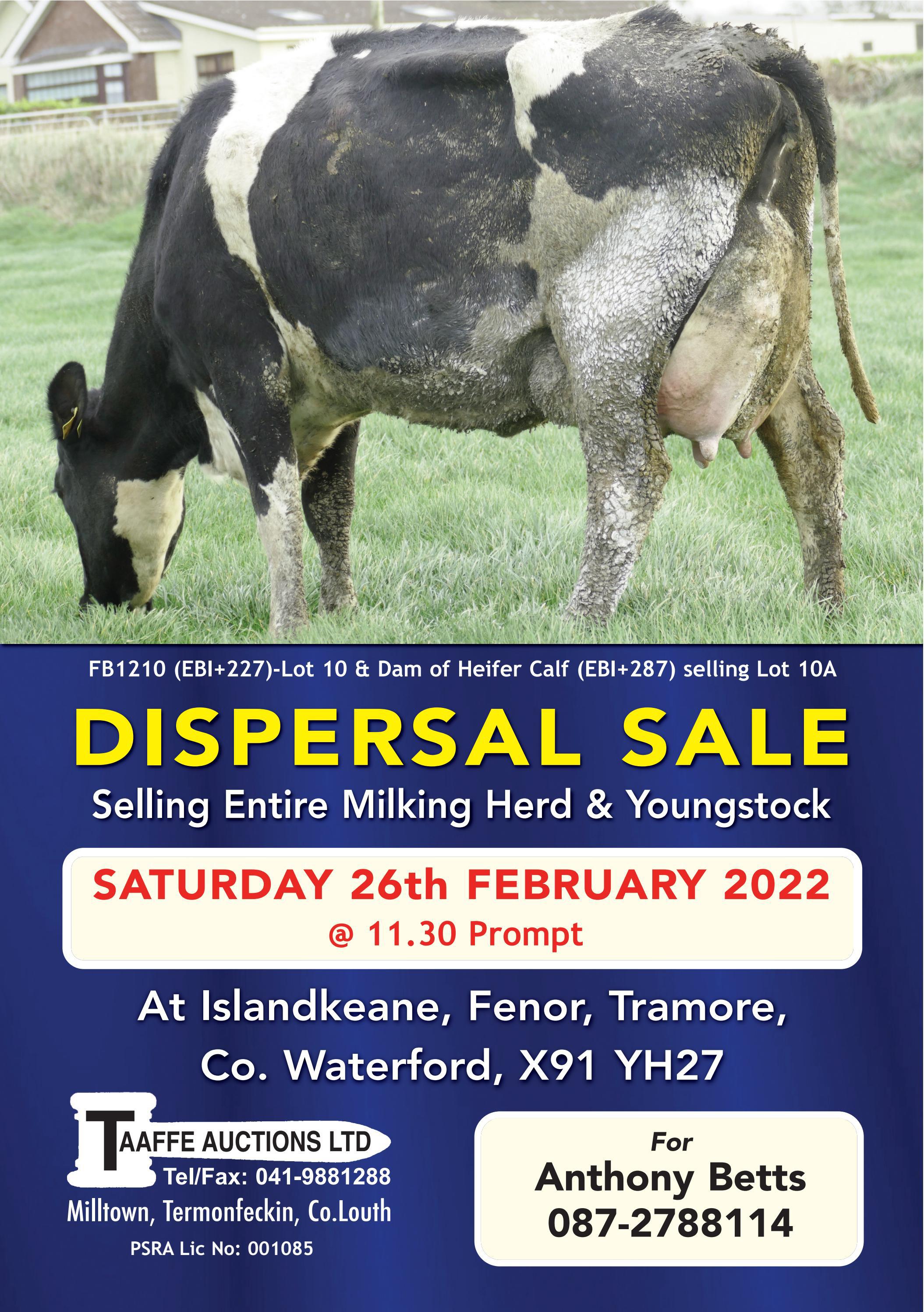 ANTHONY BETTS DISPERSAL SALE by TAAFFE AUCTIONS Issuu