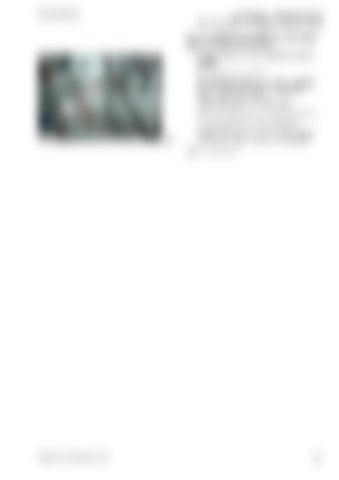 Page 307