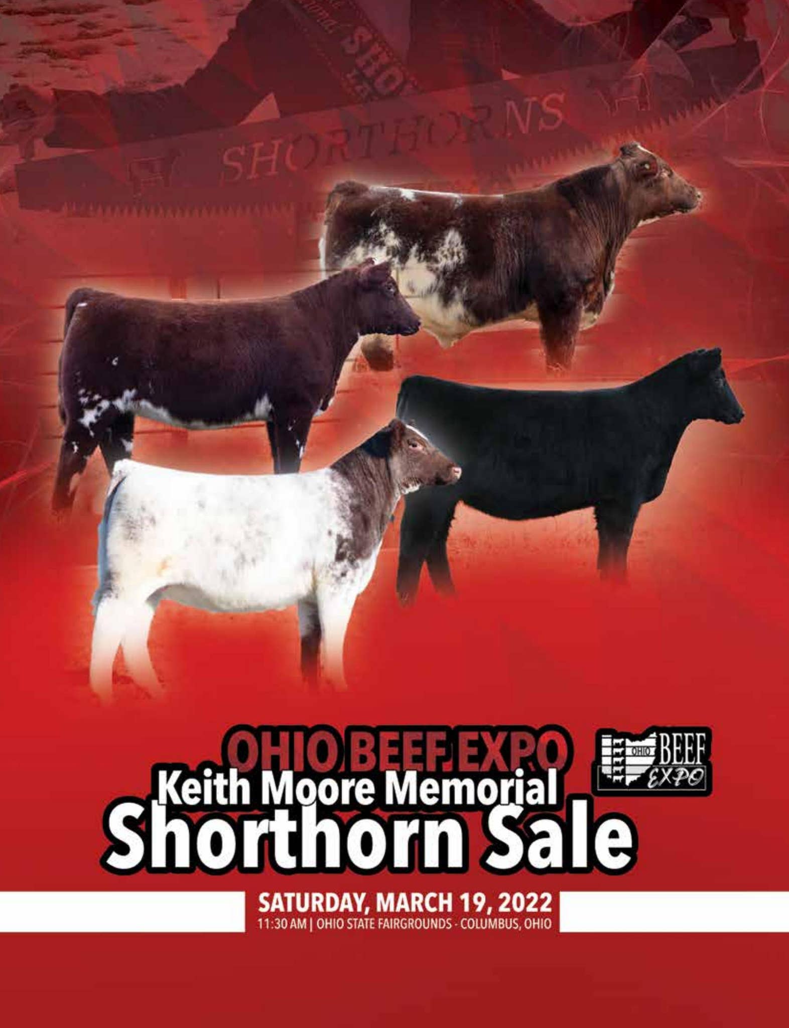 2022 Ohio Beef Expo Shorthorn Sale by SCI Stephanie Cronin, INC Issuu