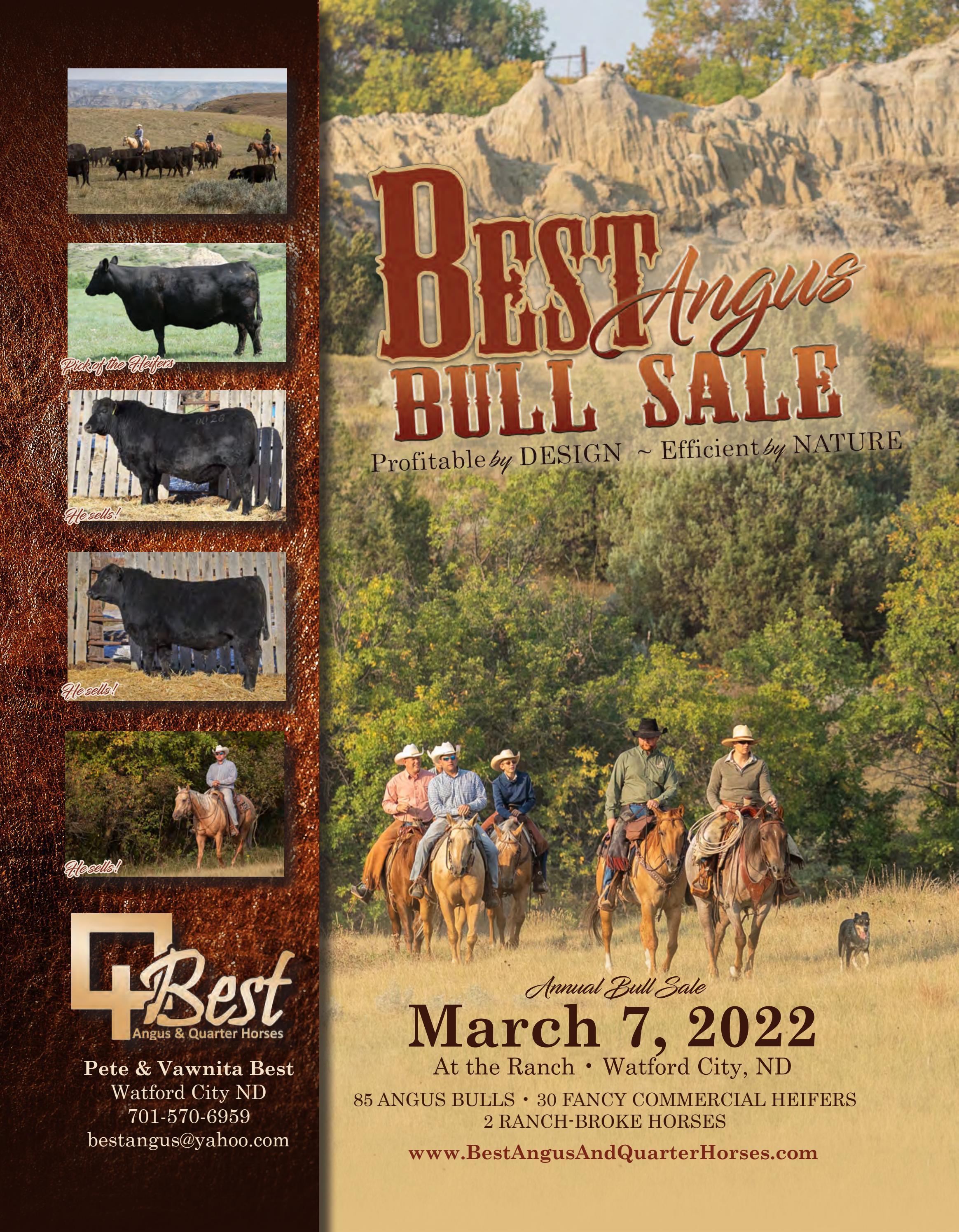 Best Angus Bull Sale Catalog 2022 by PeltonLivestock Issuu