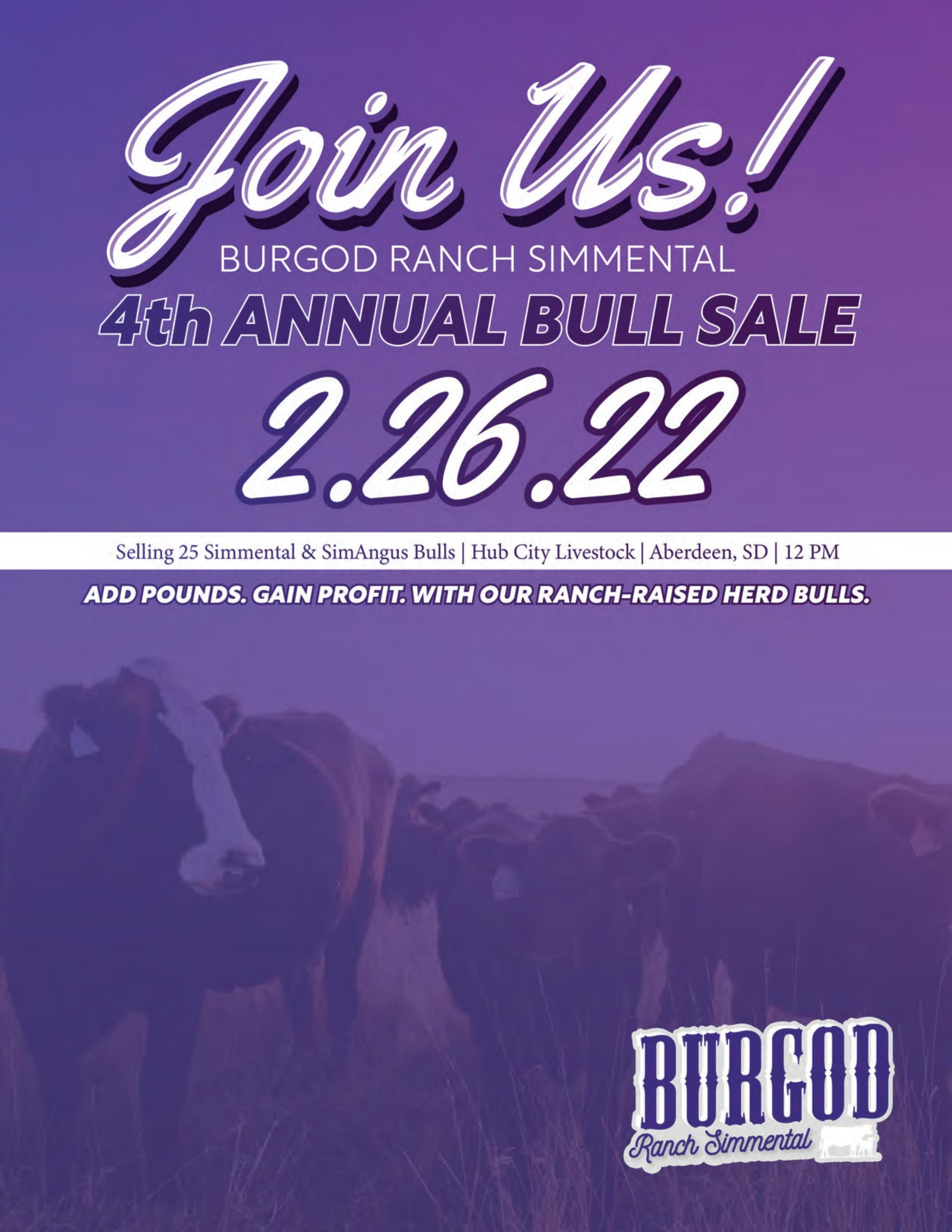 Burgod Ranch Simmental 4th Annual Bull Sale, February 26, 2022. by
