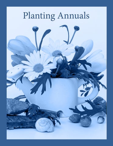 Annuals Resource 指南 第 3 页