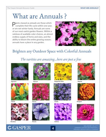 Annuals Resource 指南 第 4 页