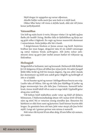 Page 62