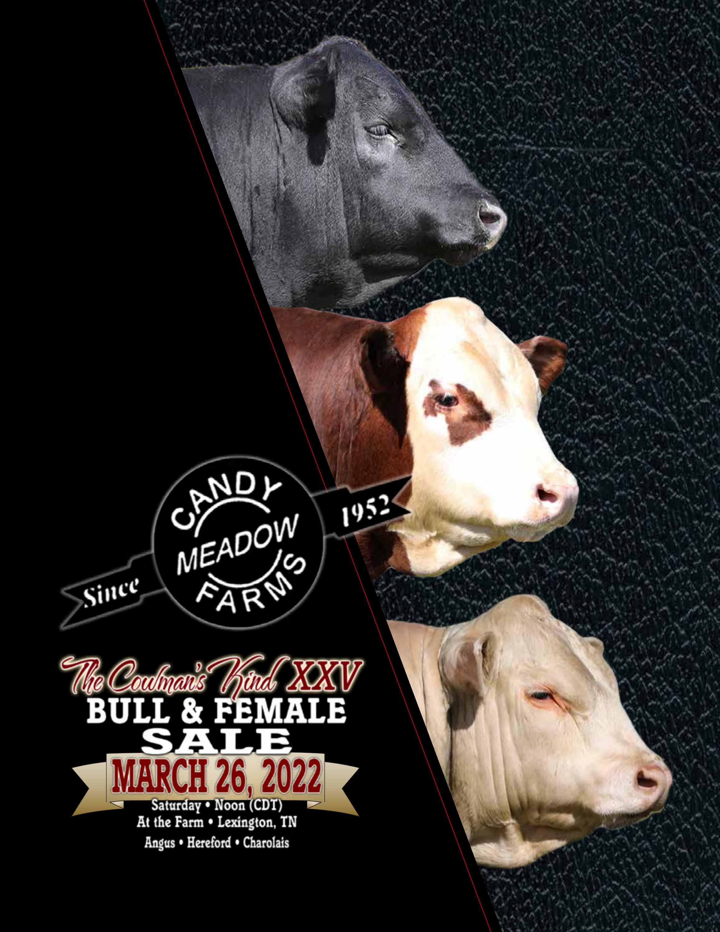 Candy Meadows Farms Bull & Female Sale by American Hereford Association