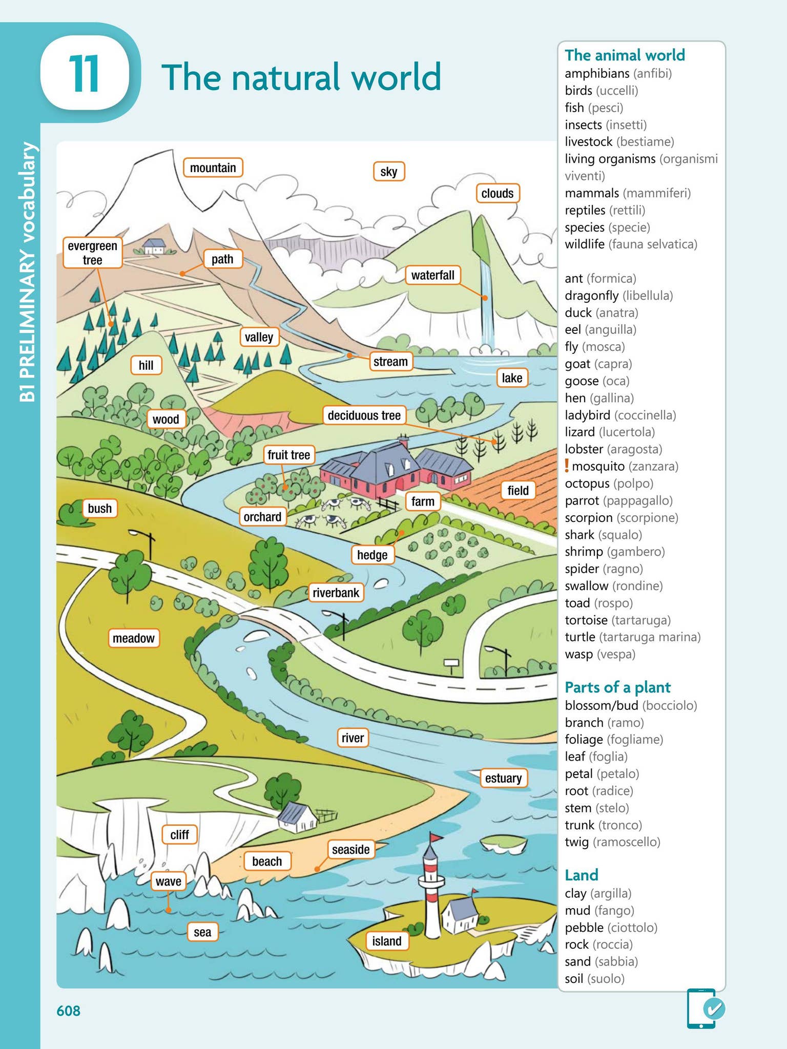 Grammar Evolution by ELI Publishing - Issuu
