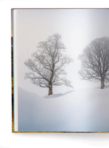 ACC Art Books 灯饰目录 · Chasing 灯饰 第 8 页