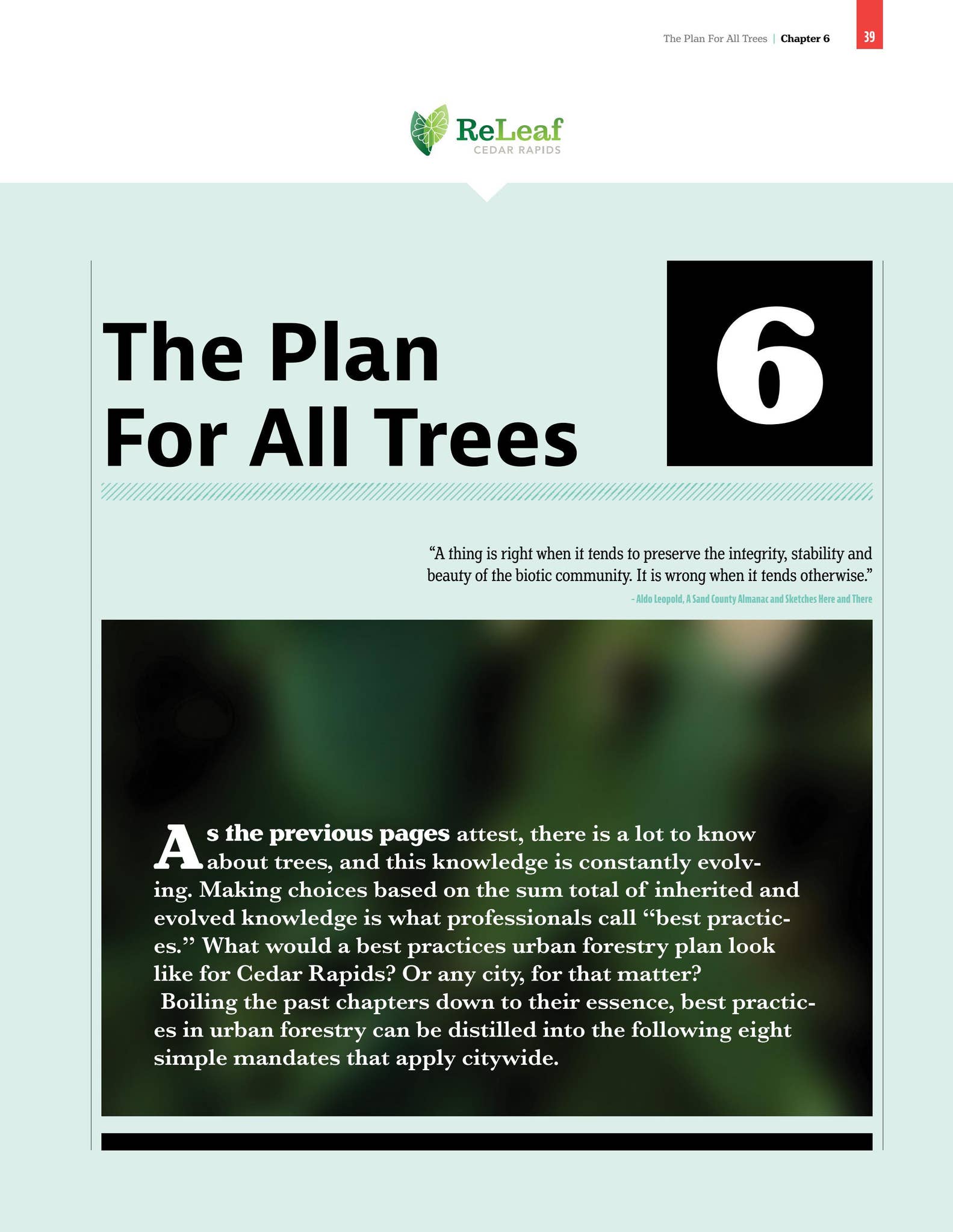 The Plan for All Trees by City of Cedar Rapids - Issuu