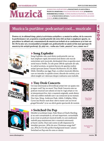 Page 31