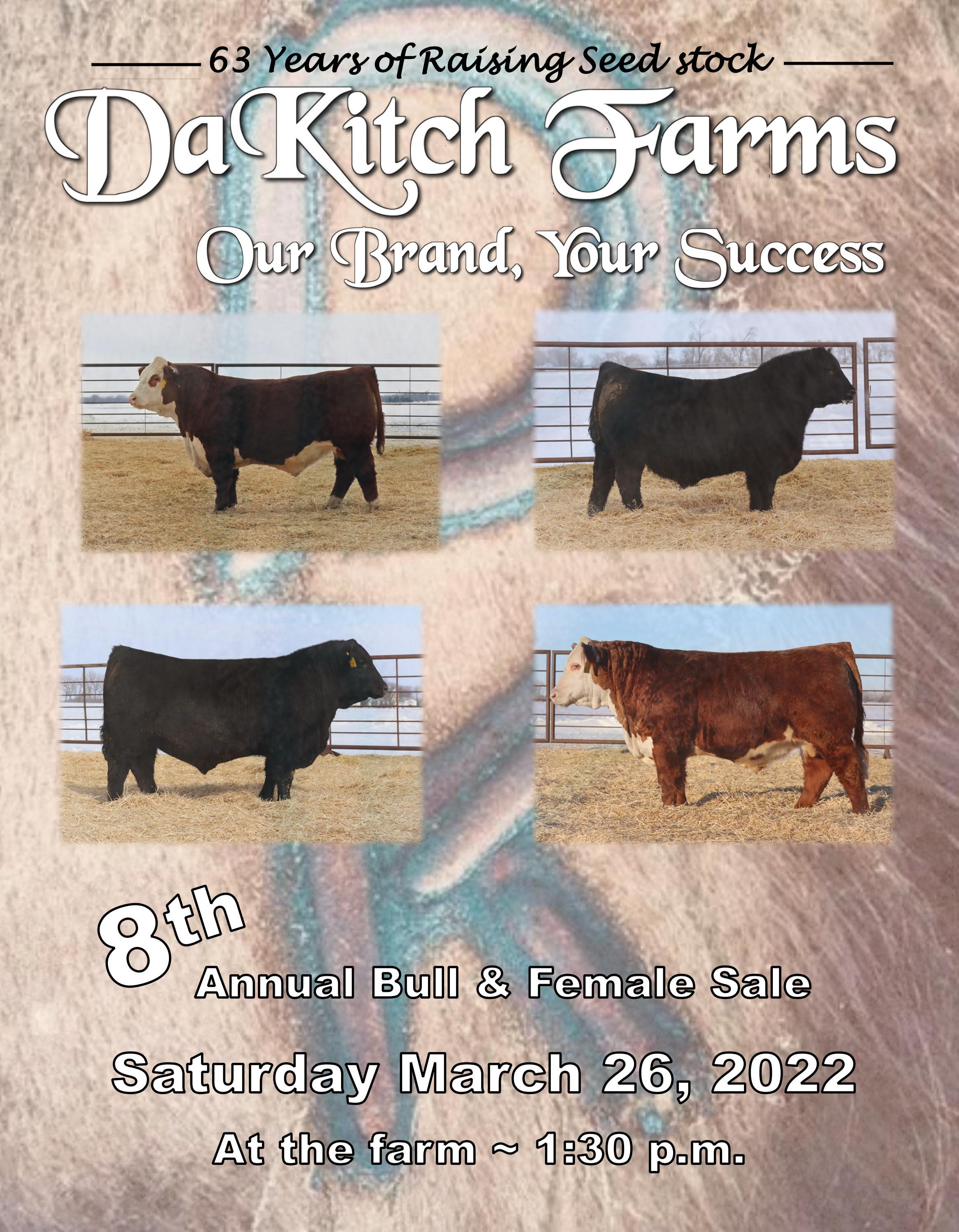 2022 DaKitch Farms Bull & Female Catalog by Darci Kitchell Issuu