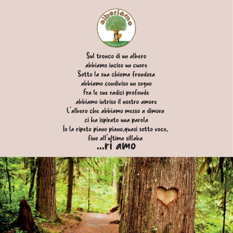 AlberiAmo "Giar Fer Casa" 第 2 页