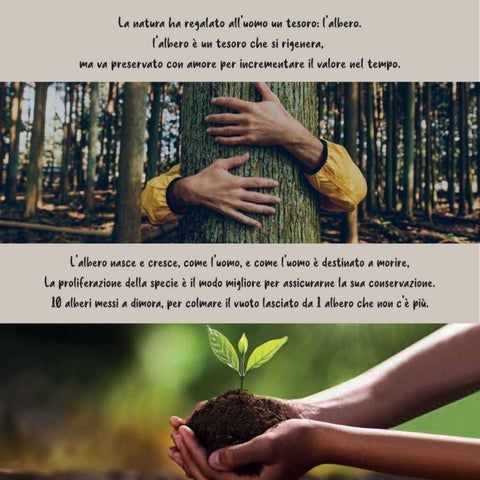 AlberiAmo "Giar Fer Casa" 第 3 页