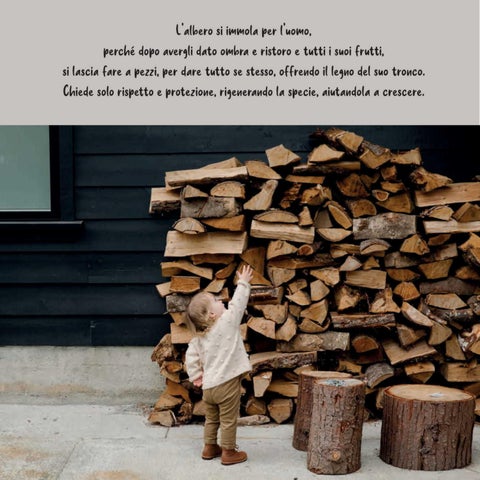 AlberiAmo "Giar Fer Casa" 第 5 页