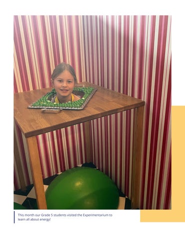 Copenhagen International School 灯饰目录 · Spotlights - 期 1 (March 2022) 第 7 页