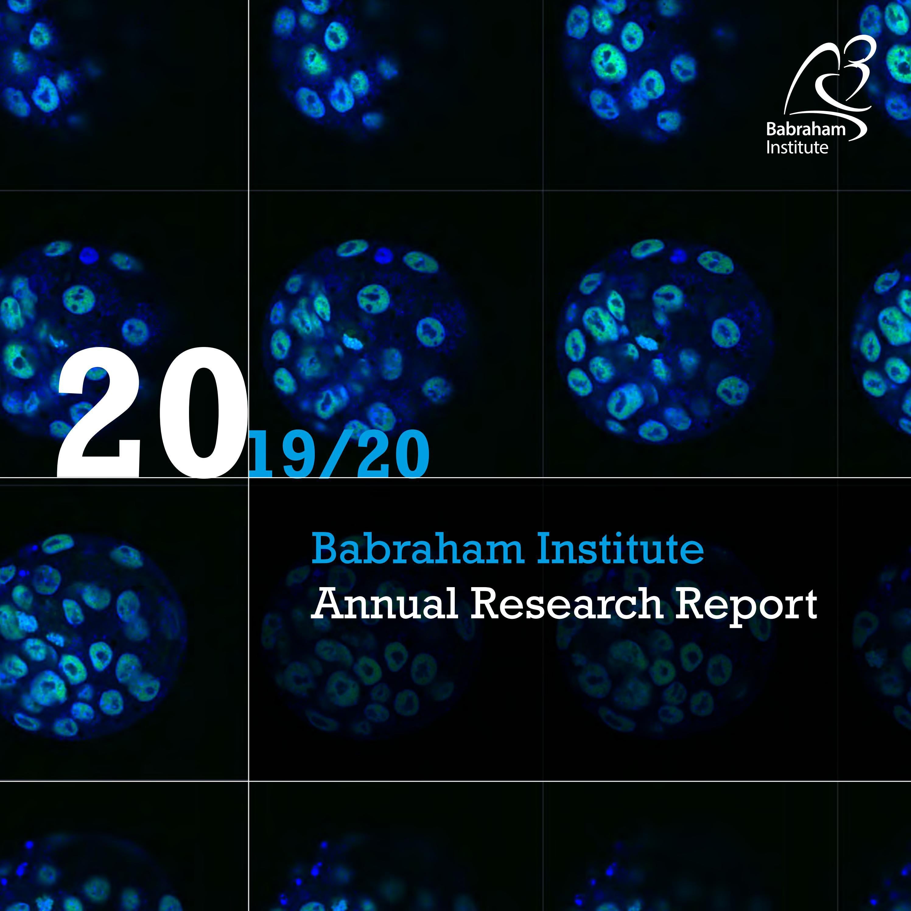 Babraham Institute Research Report 20192020 by Babraham Institute Issuu
