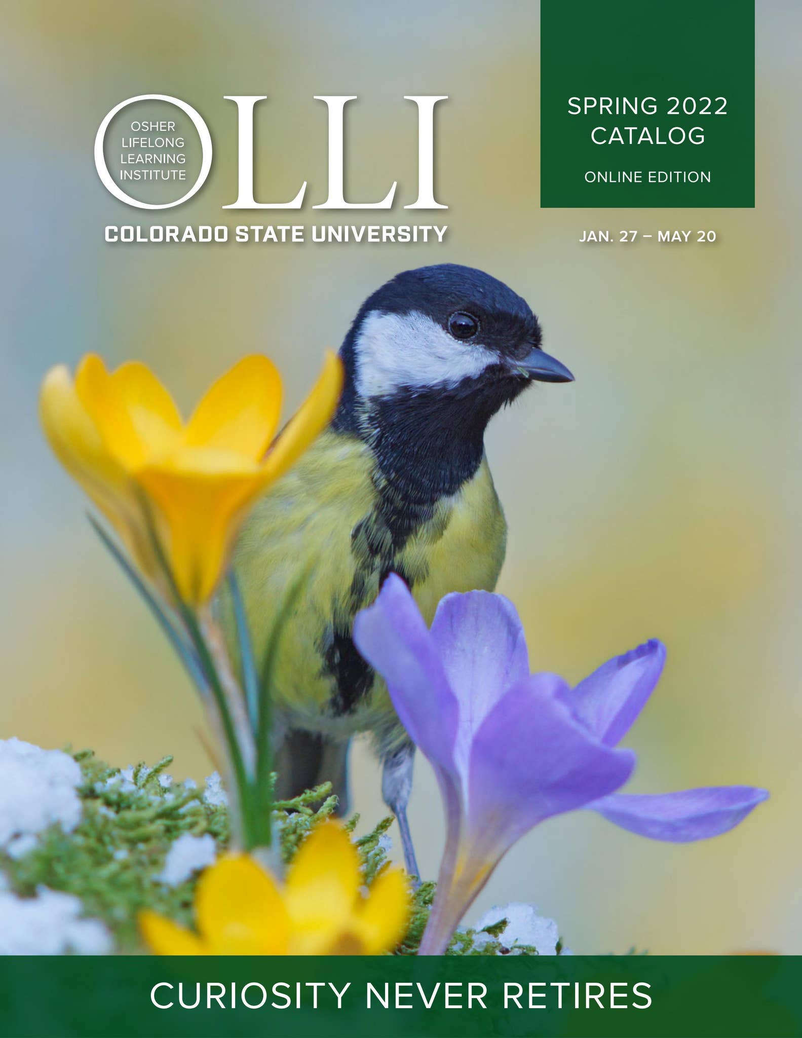 CSU OLLI Spring 2022 Catalog by CSU OEE Issuu