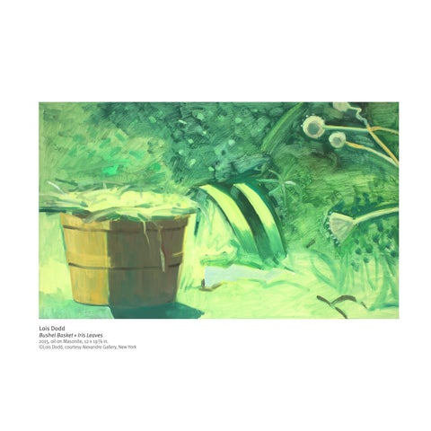 Nimble Eye Design LLC 灯饰目录 · 灯饰 of Day: The Language of 景观 第 23 页