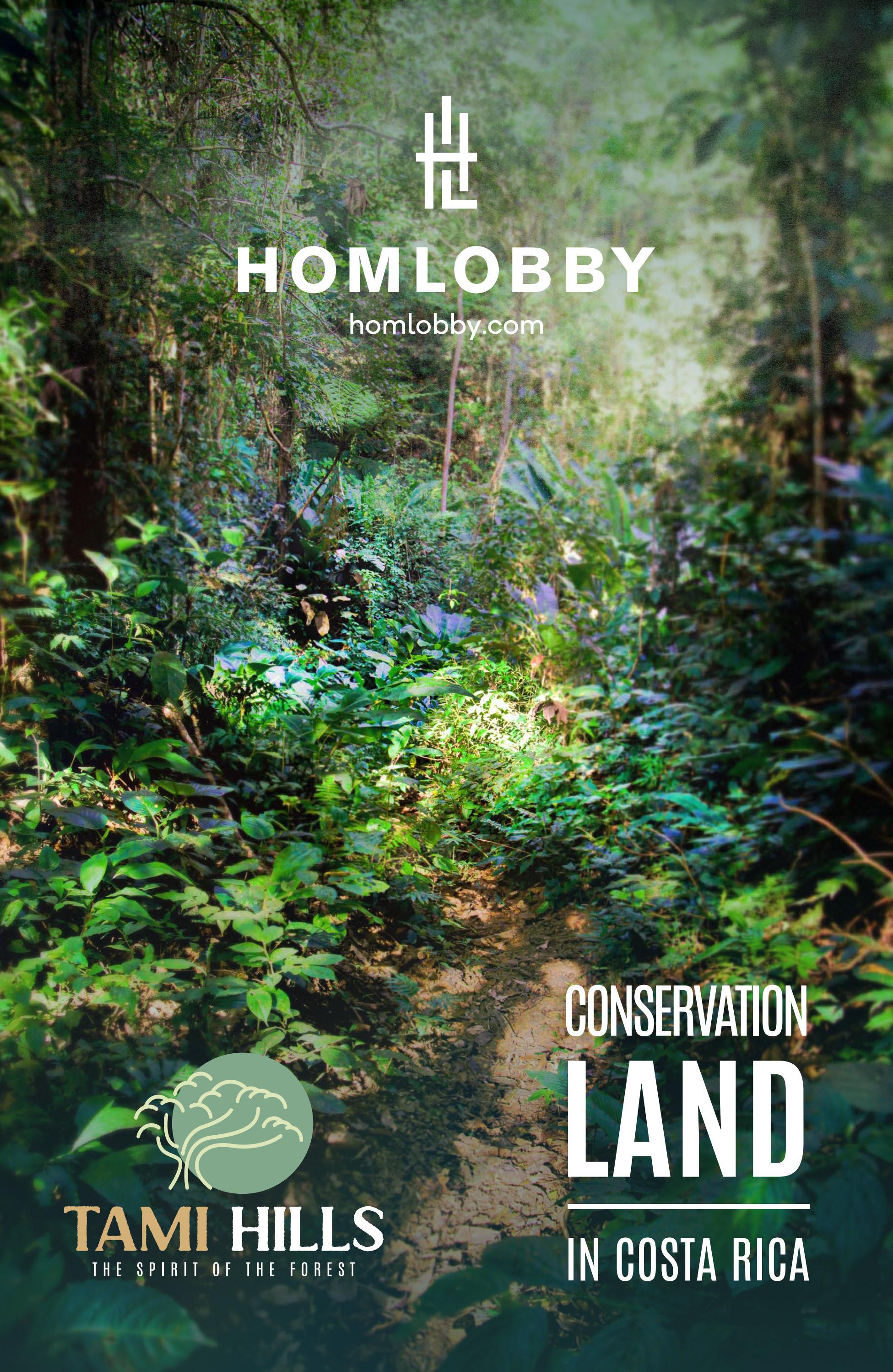 Tami Hills Conservation Land for Sale in Costa Rica by Antonio