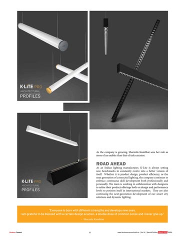 Business Connect 灯饰目录 · The Most Innovative Manufacturer of 建筑 灯饰 Products 2022 第 15 页