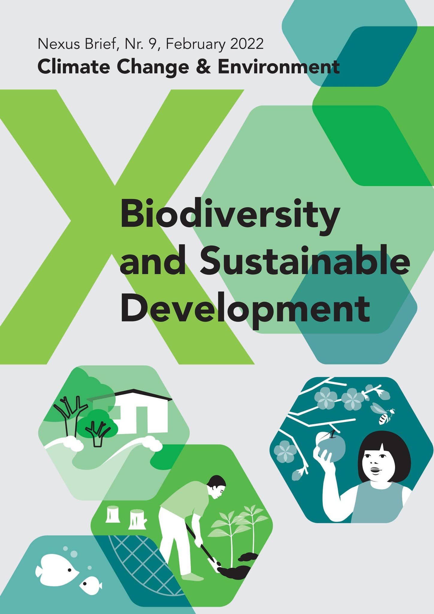 Nexus Brief: Biodiversity and Sustainable Development by Zoï ...