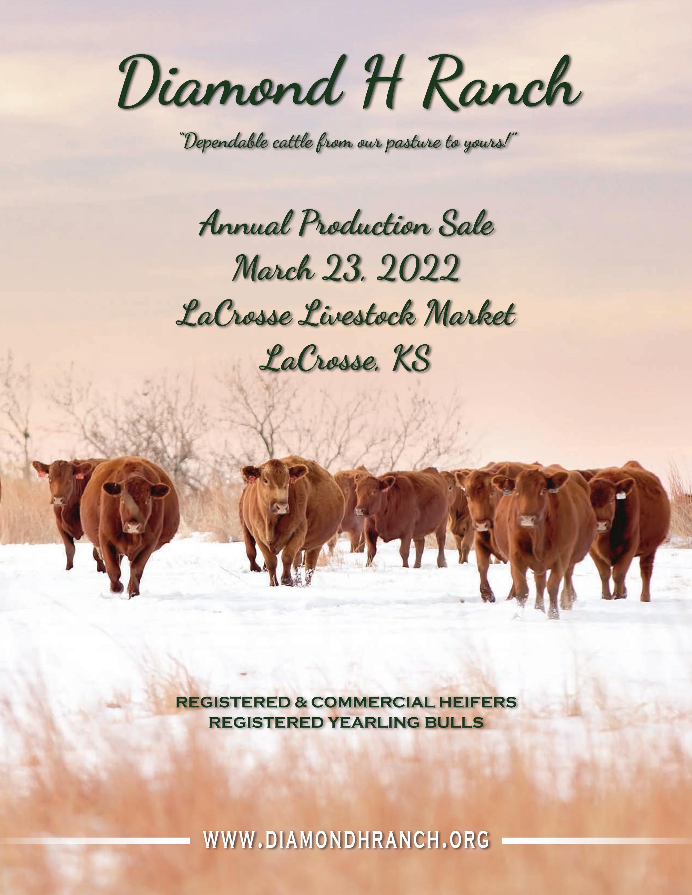 Diamond H Ranch - 2022 Spring Sale Catalog - 3.23.22 by LivestockDirect ...