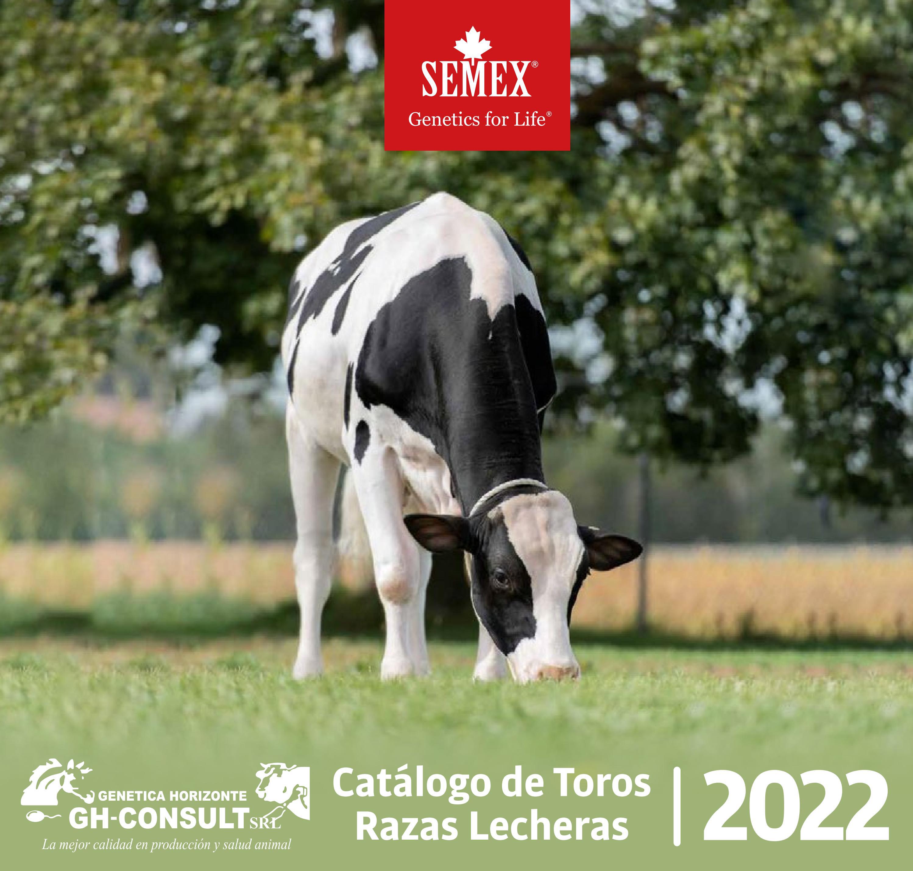 Toros Razas GH CONSULT/SEMEX - Catálogo de Toros Razas Lecheras 2022 by José Oscar ...