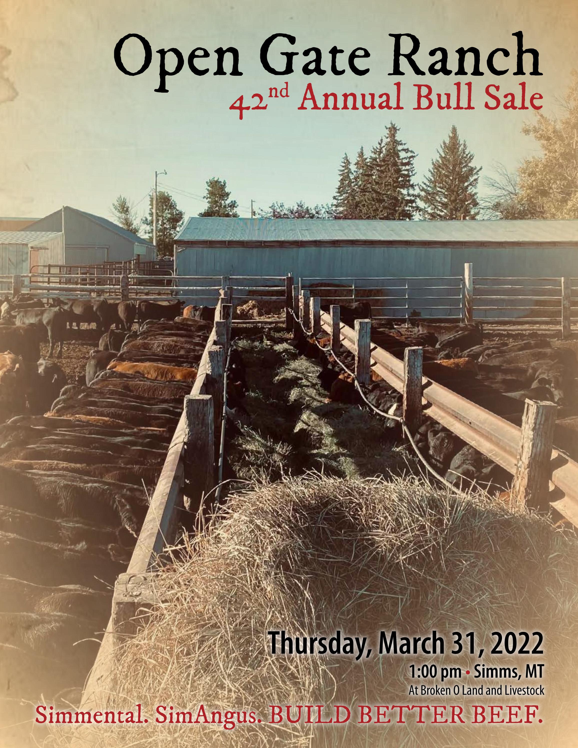 Open Gate Ranch Sale Catalog 2022 by PeltonLivestock Issuu