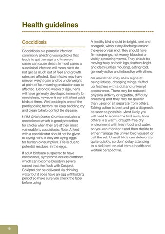 Page 16