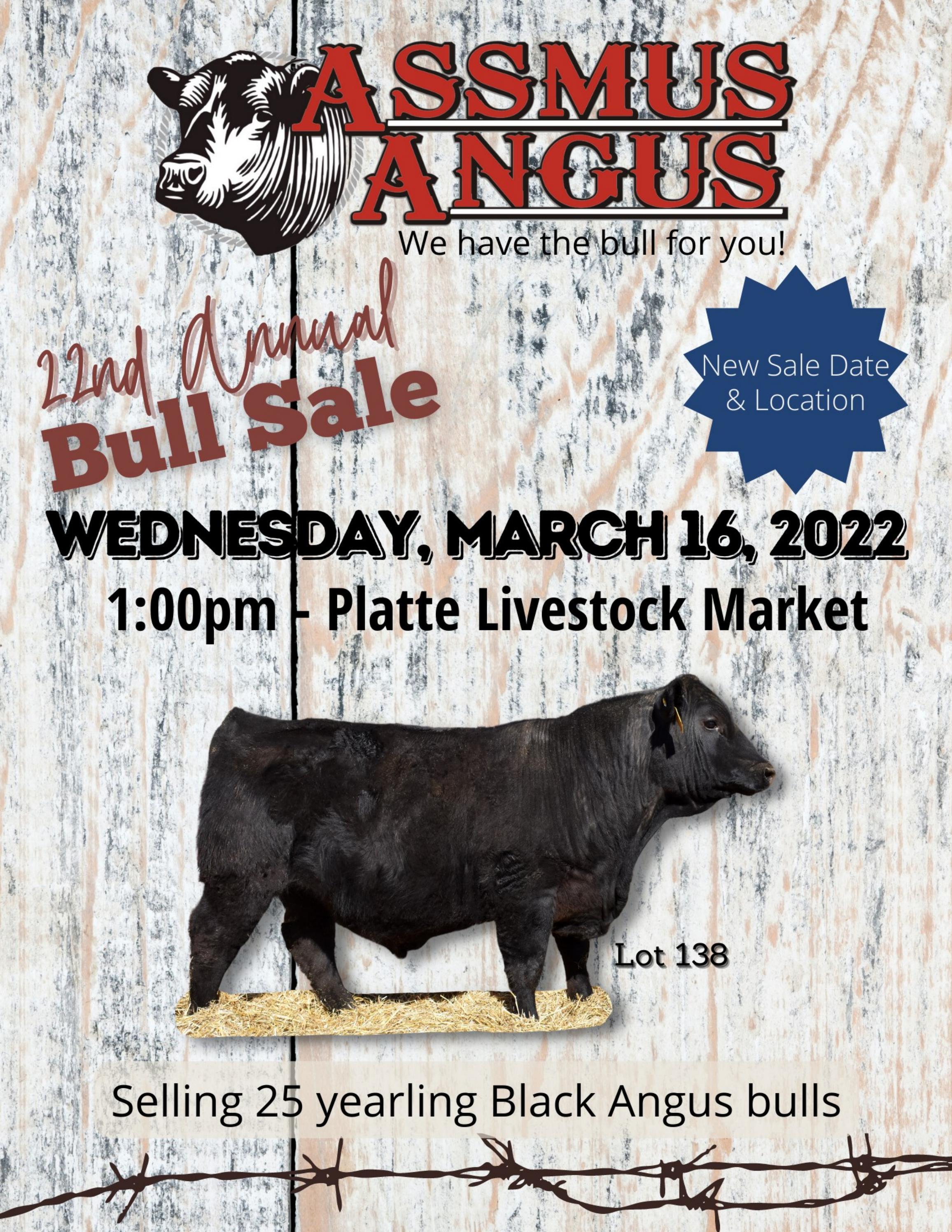 2022 Assmus Angus Bull Sale Catalog by Assmus Angus Issuu