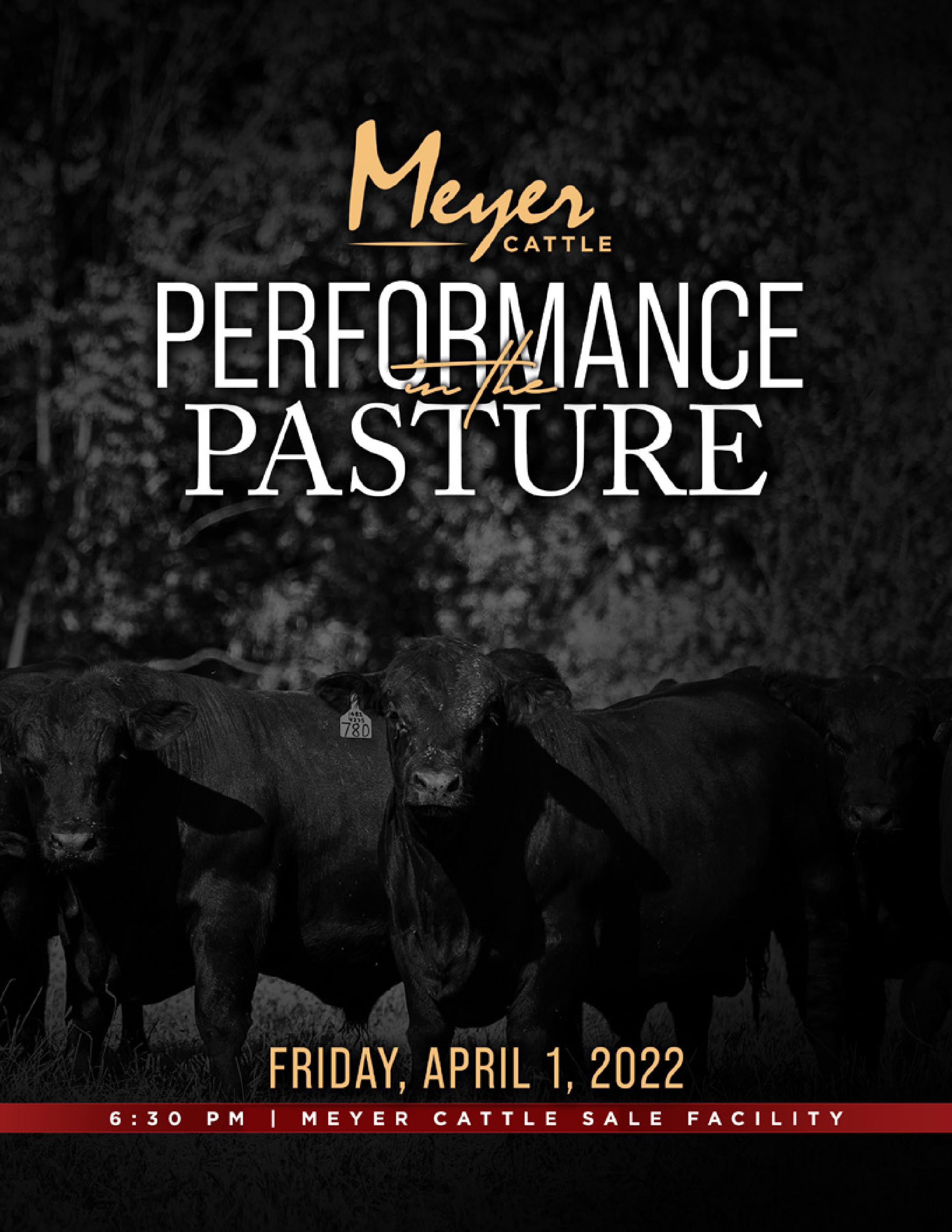 Meyer Cattle Spring 2022 Performance in the Pasture by Melissa Grimmel Schaake Issuu