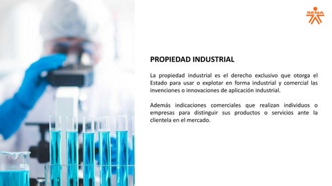 Propiedad Intelectual 第 11 页