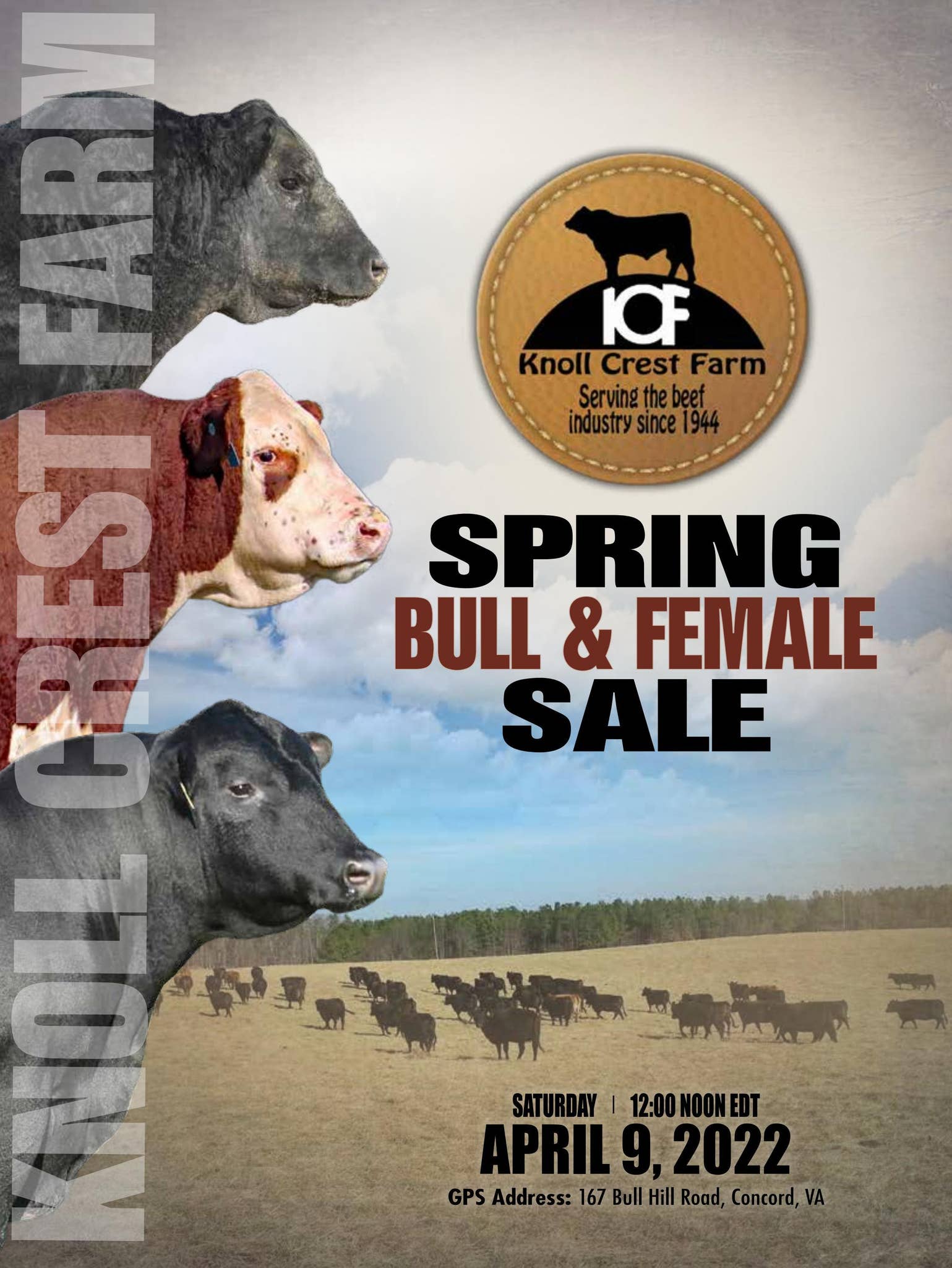 Knoll Crest Farm Spring Bull and Female Sale Catalog by EDJE Issuu
