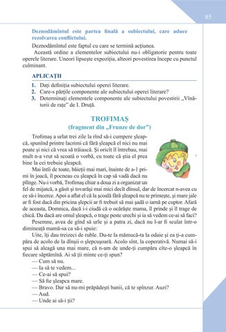 Page 85