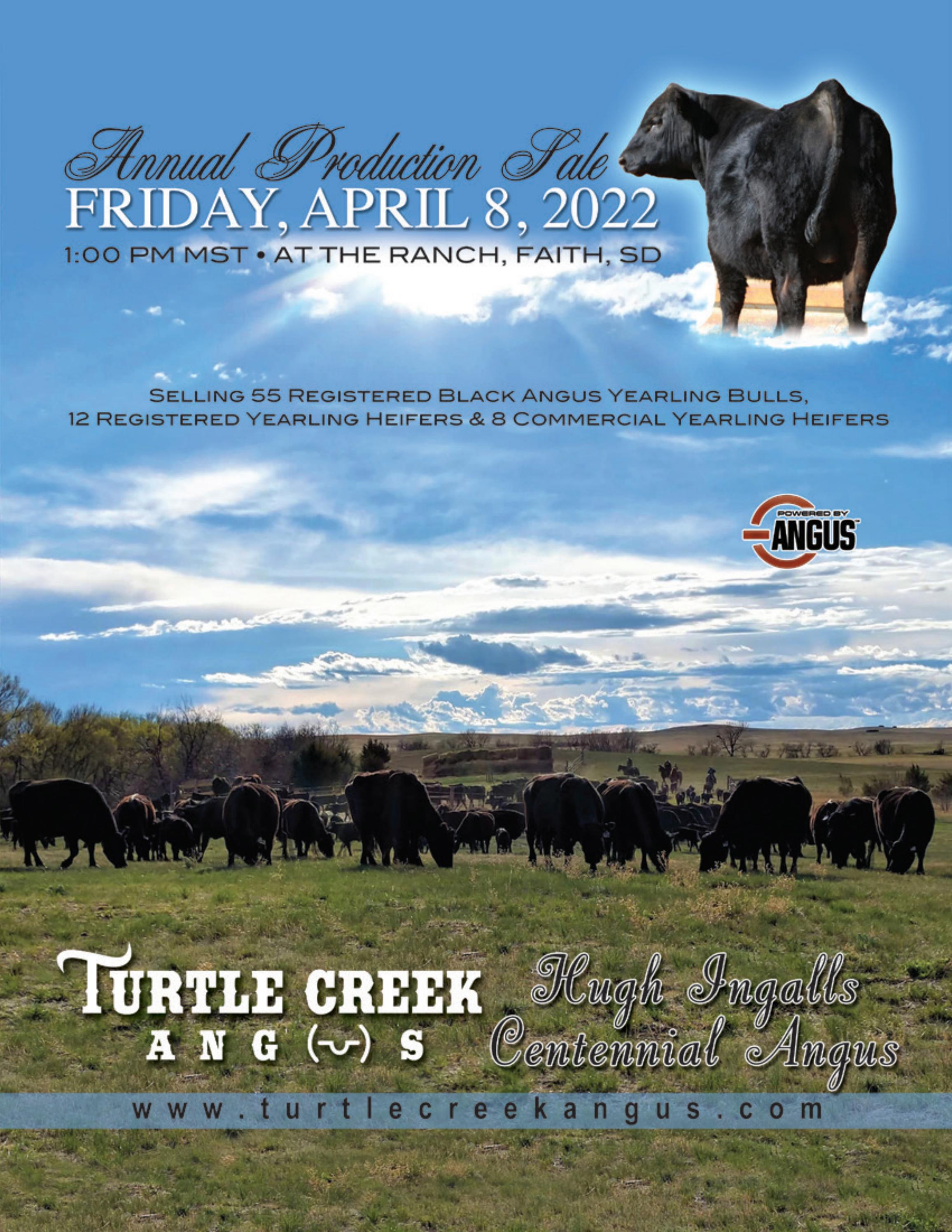 Turtle Creek Angus 2022 Catalog by RPI Promotions Issuu
