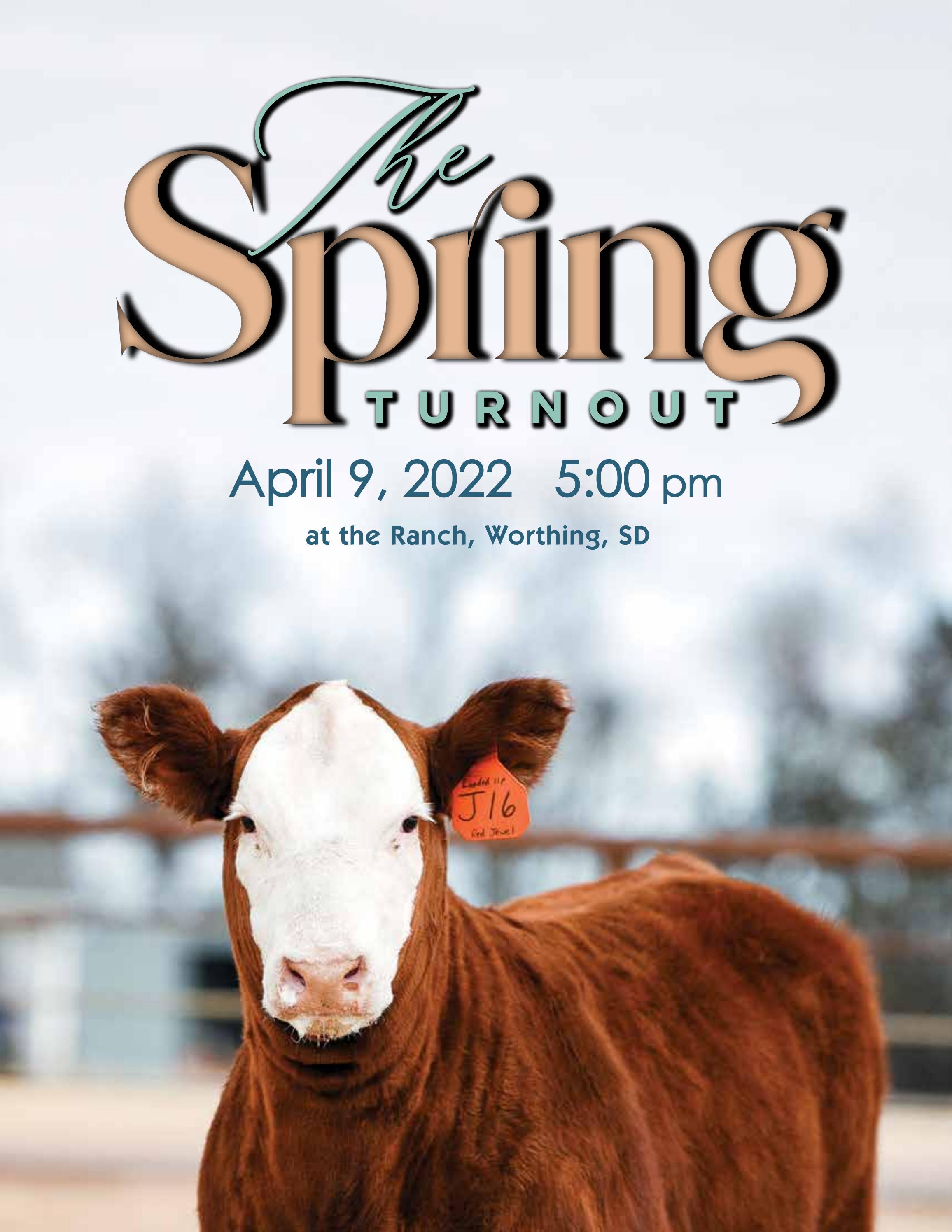 Cattle Sales Right Before Christmas 2022 The Spring Turnout 2022 Sale By Barbour Marketing Solutions, Llc - Issuu
