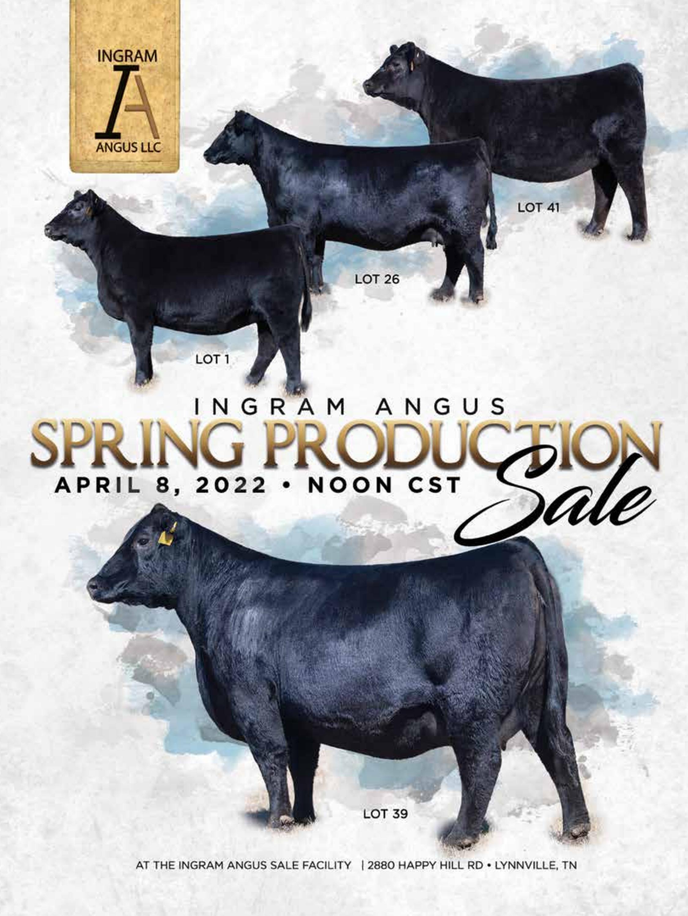 2022 Ingram Angus Spring Production Sale Catalog by Ranch House Designs