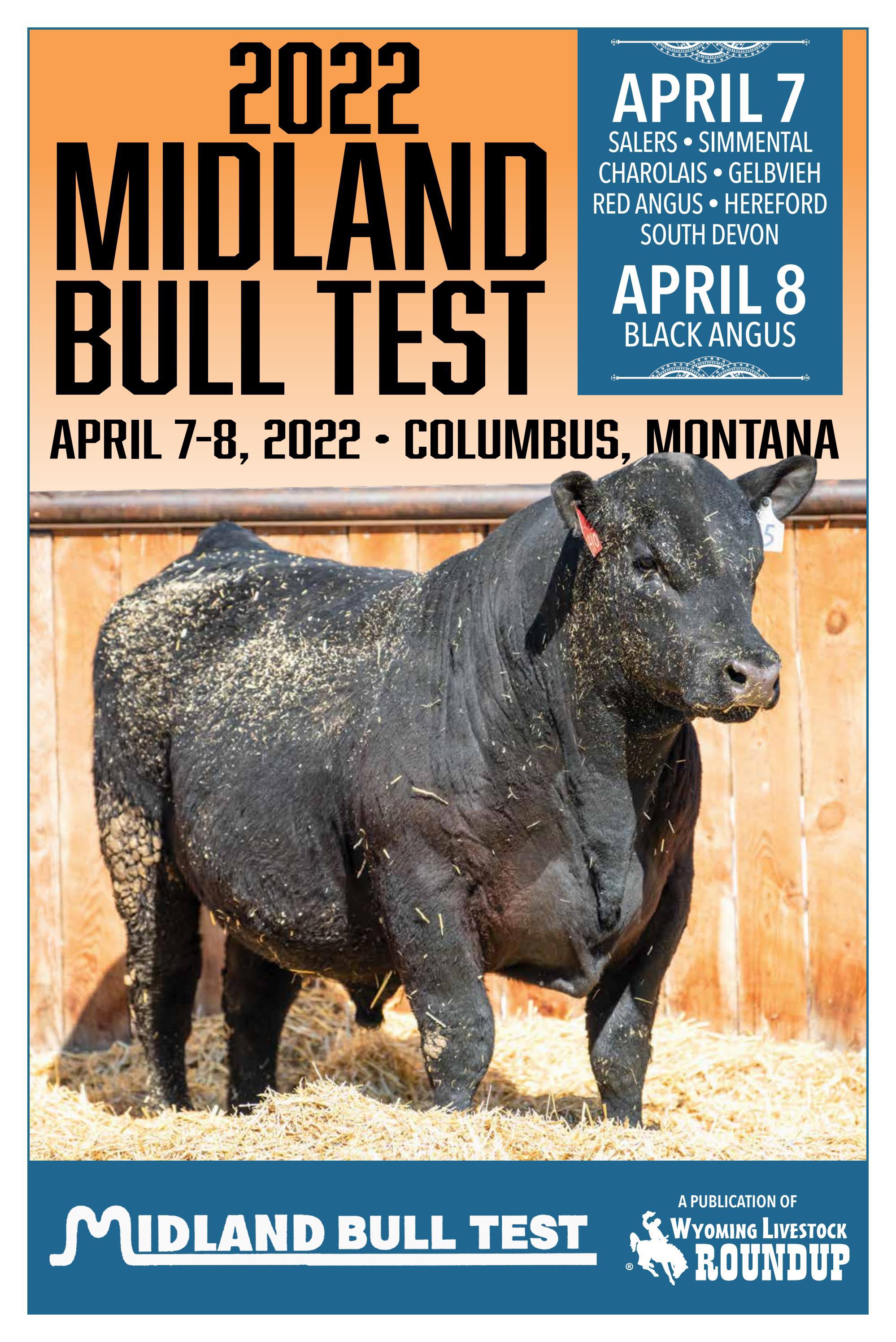 2022 Midland Bull Test Edition by Wyoming Livestock Roundup Issuu