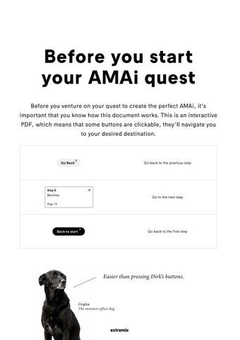 Dirk's easy 指南 to building your unique AMAi [ 美国 ] 第 8 页
