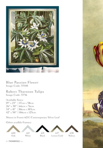 The Trowbridge Folio 灯饰产品集 第 18 页