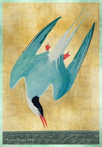 The Trowbridge Folio 灯饰产品集 第 21 页