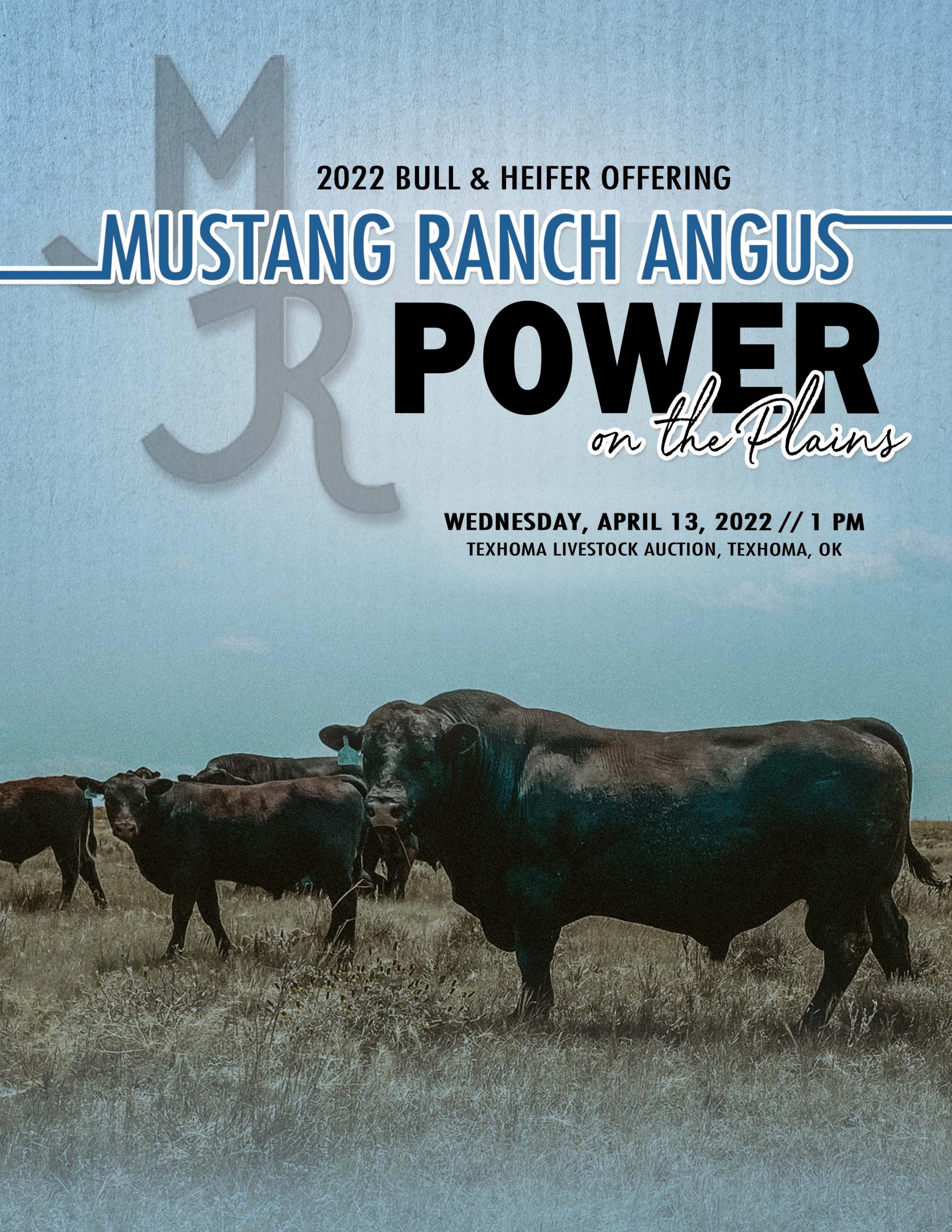 Mustang Angus Ranch 2022 Bull & Heifer Offering Catalog by Brandmark