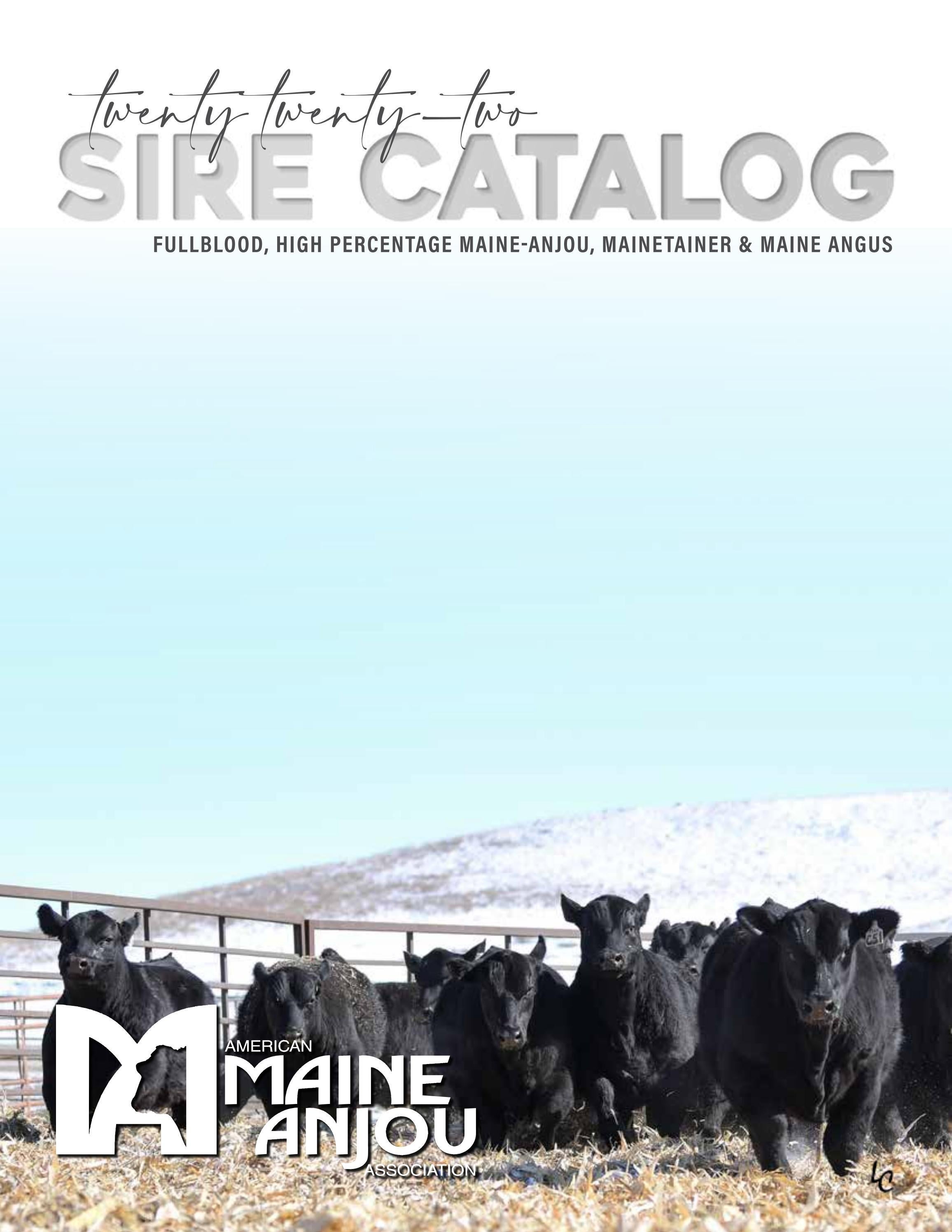 2022 Sire Catalog by American MaineAnjou Association Issuu