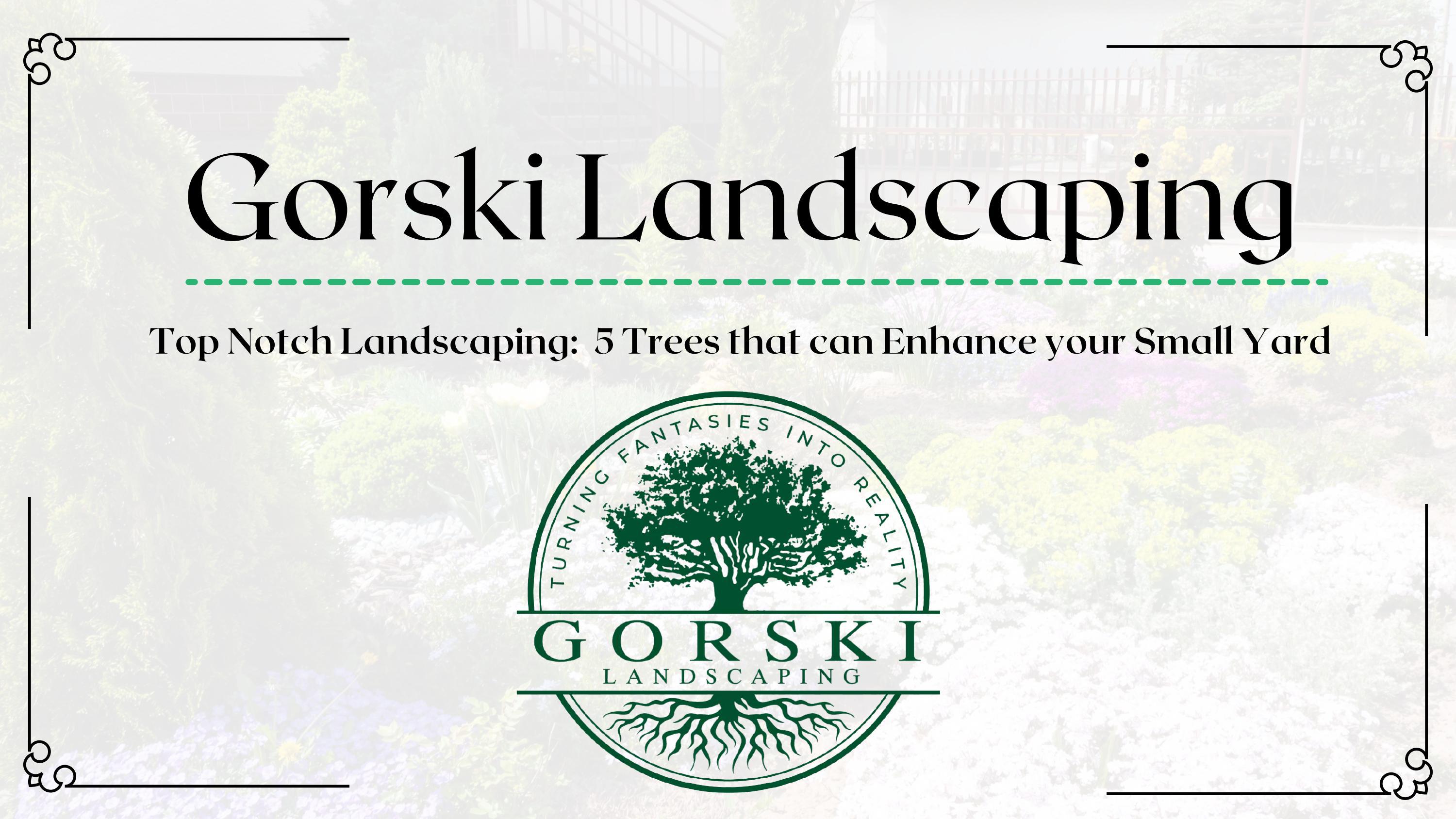 Top Notch Landscaping 5 Trees that can Enhance your Small Yard by