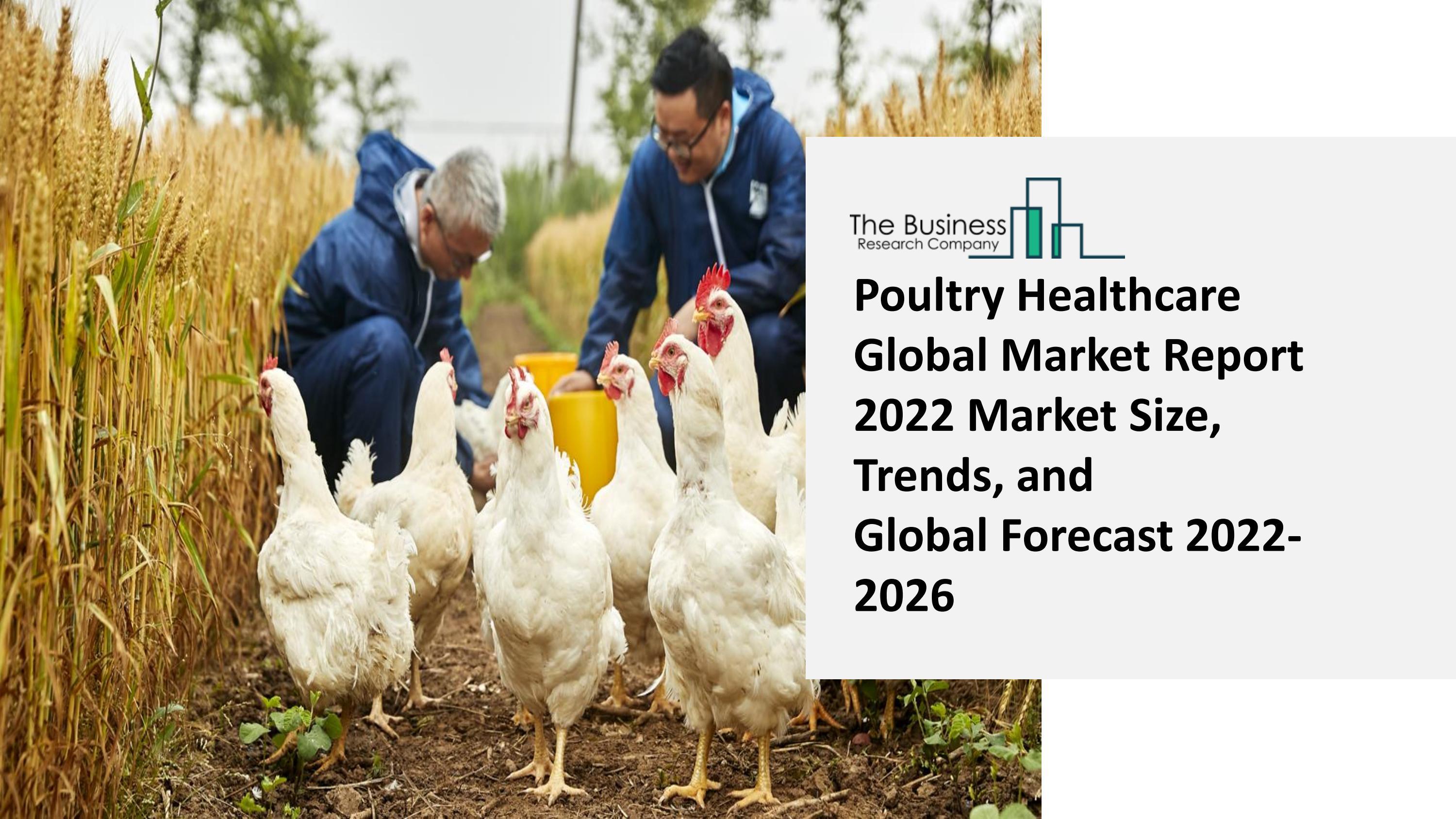 Poultry Healthcare Market 20222031 Global Share, Size, Trends