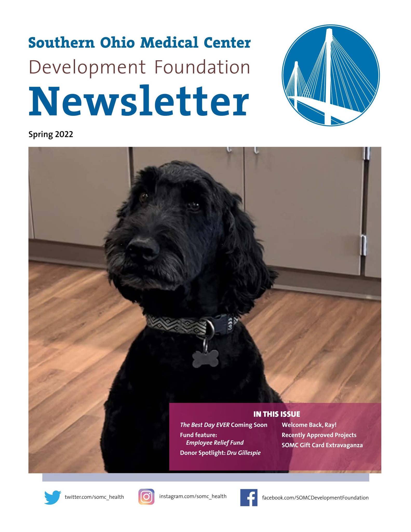 Spring Into Q2 2022 Q2 Spring Development Foundation by somcmarketing - Issuu