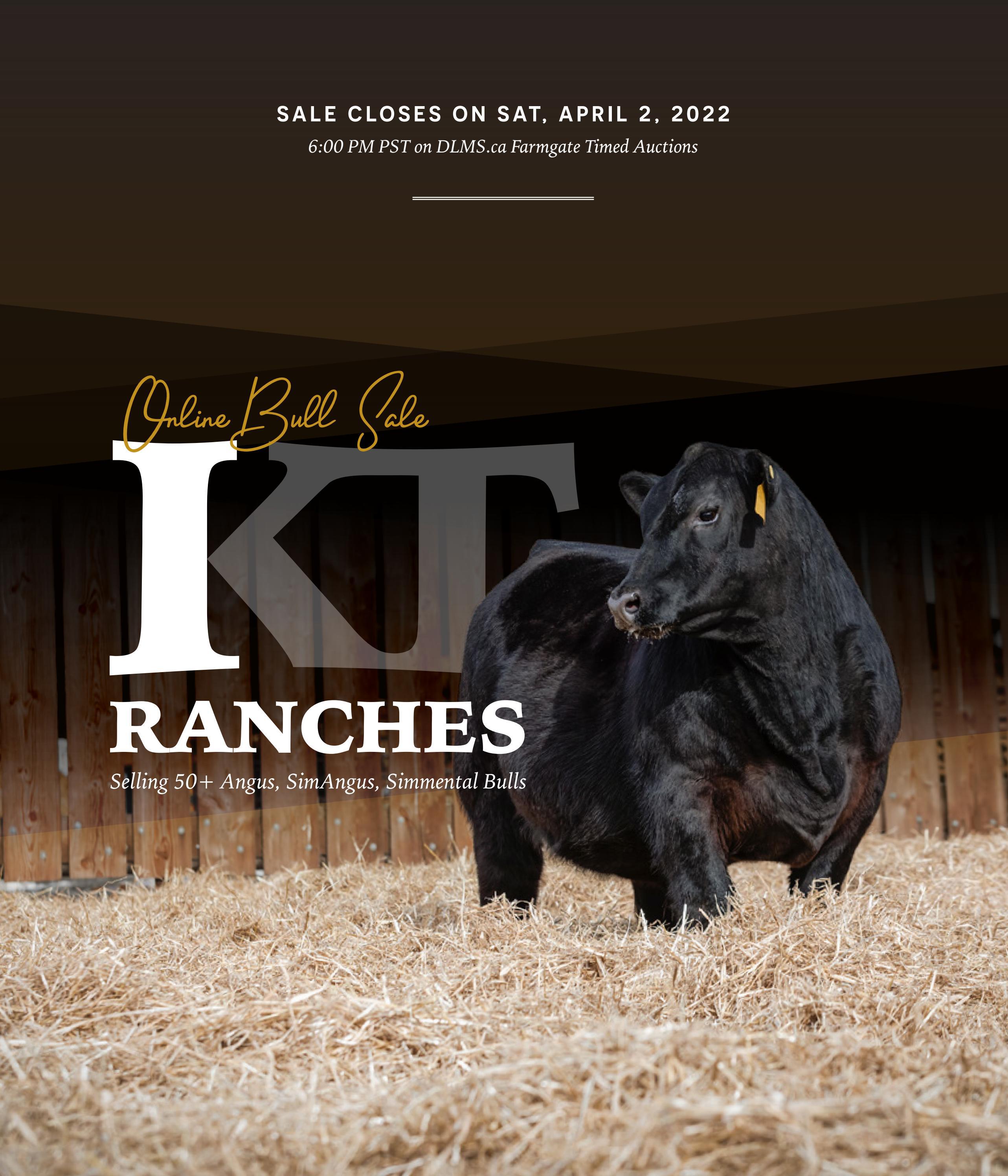 KT Ranches Online Bull Sale by Bohrson Marketing Services Ltd. - Issuu